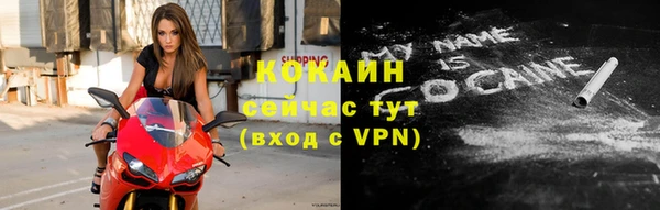 шишки Богданович