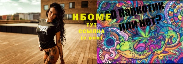 сатива Богородск