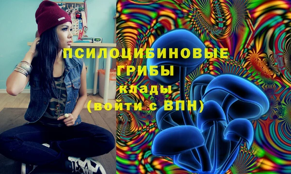 а пвп мука Алагир