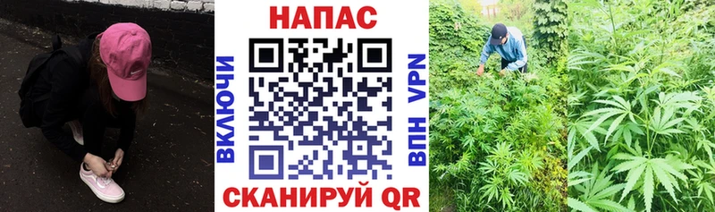маркетплейс какой сайт  Верхняя Пышма  Бошки Шишки план  купить наркоту 